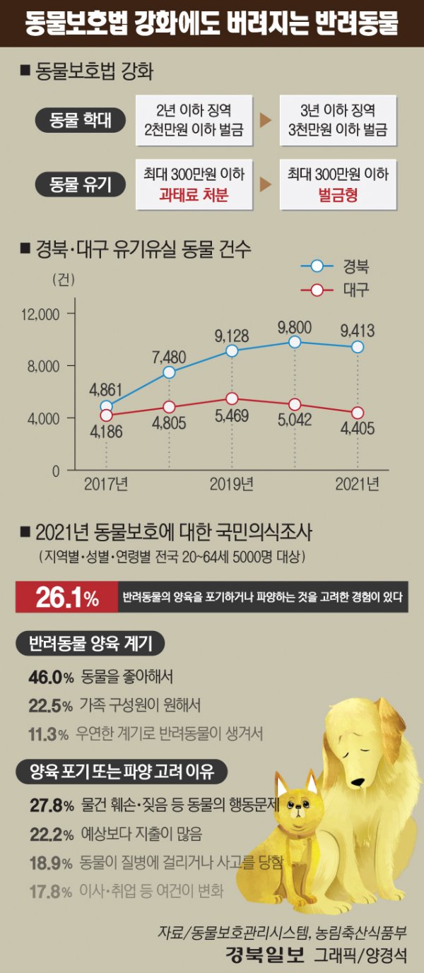 반려견의 죽음을 초래한 폭력