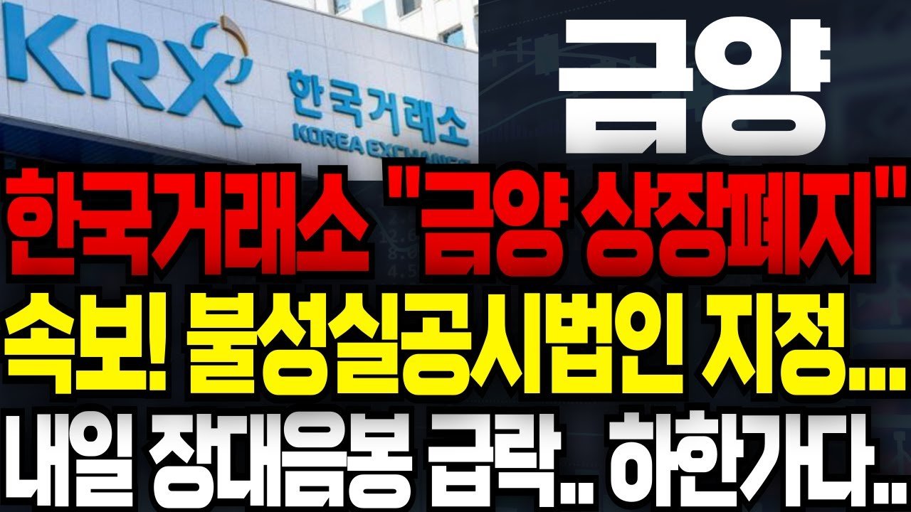 부실 공시 해결을 위한 노력과 한계