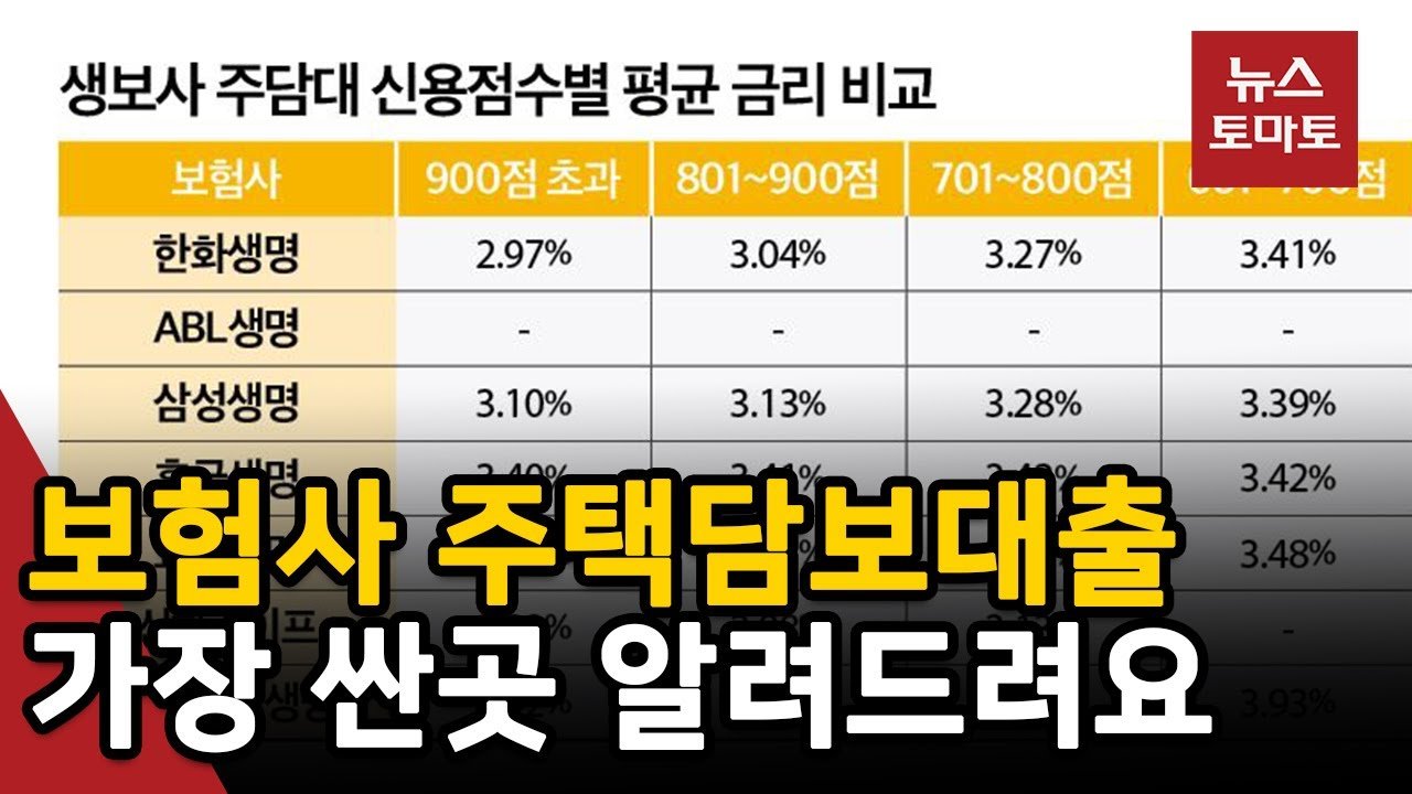 보험사들의 금리 인상 현상