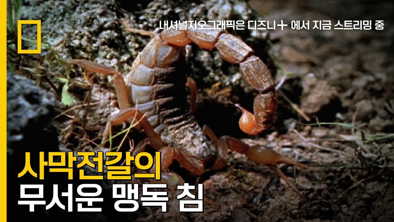 예상치 못한 생물의 유입 경로