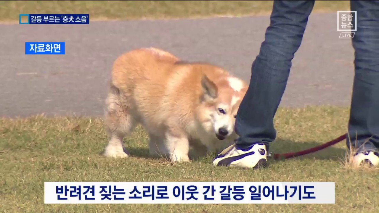 가슴 아픈 선택, 이웃과의 대면