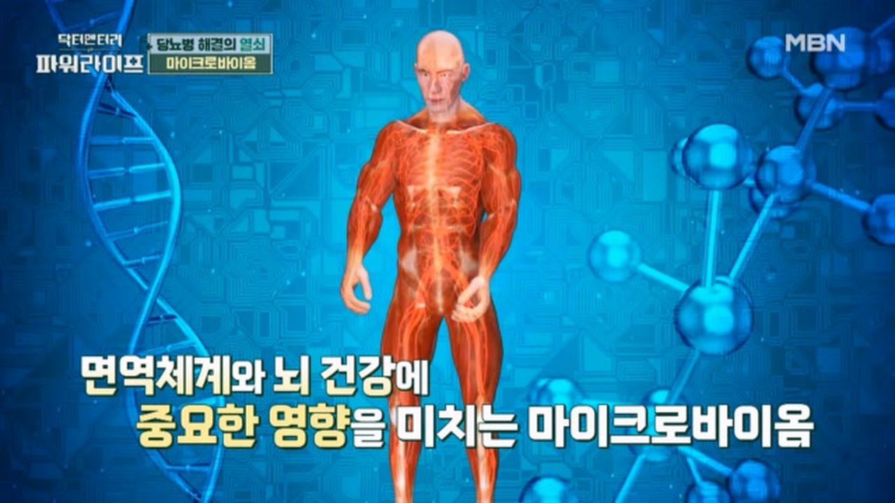 당뇨병과 뇌의 관계는?