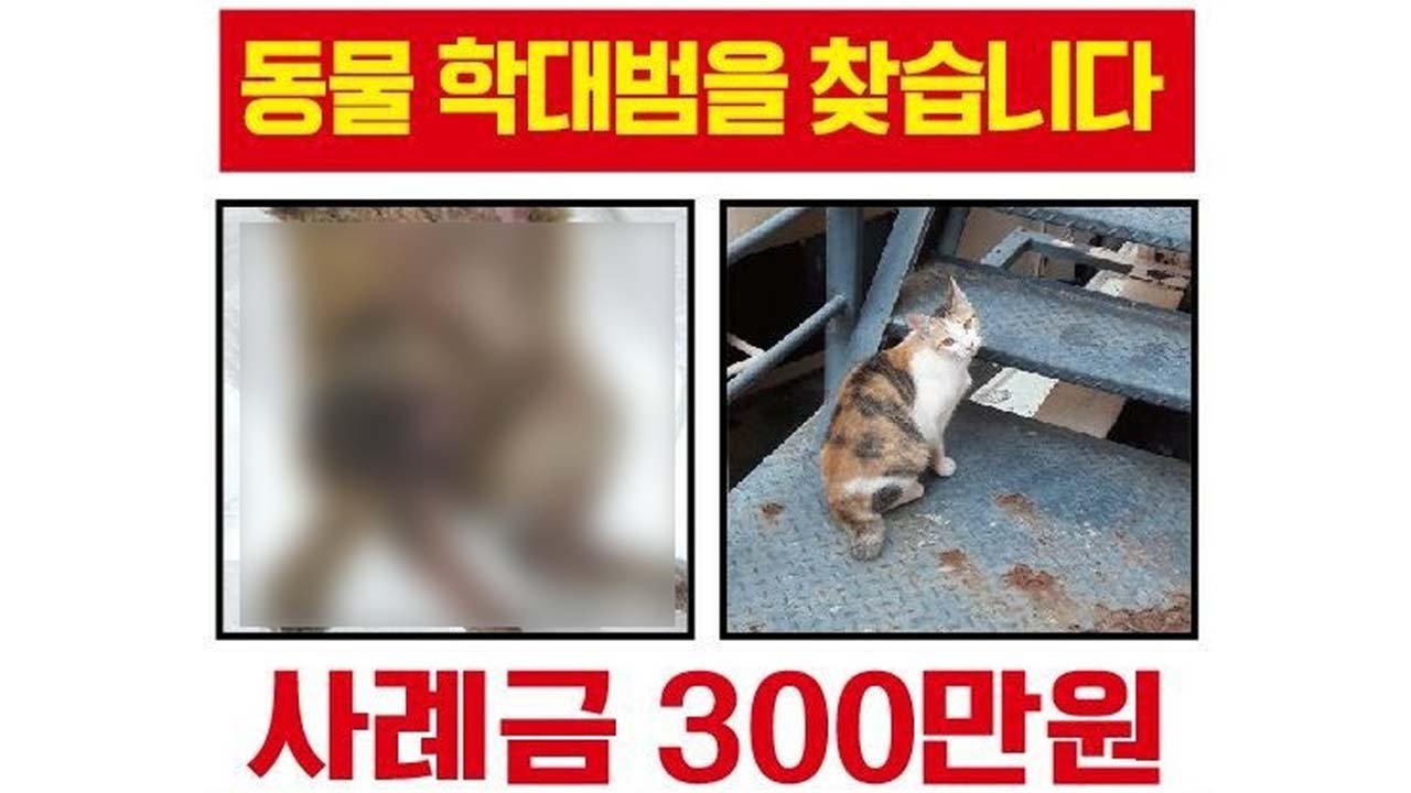 보살핌과 지키는 의무