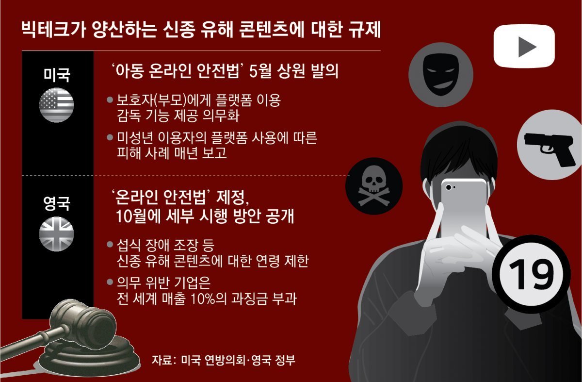 다른 나라들의 유사 법안과 비교