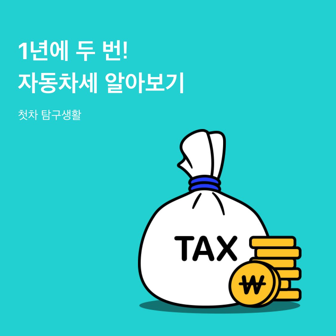 비합리적인 개별소비세의 문제점