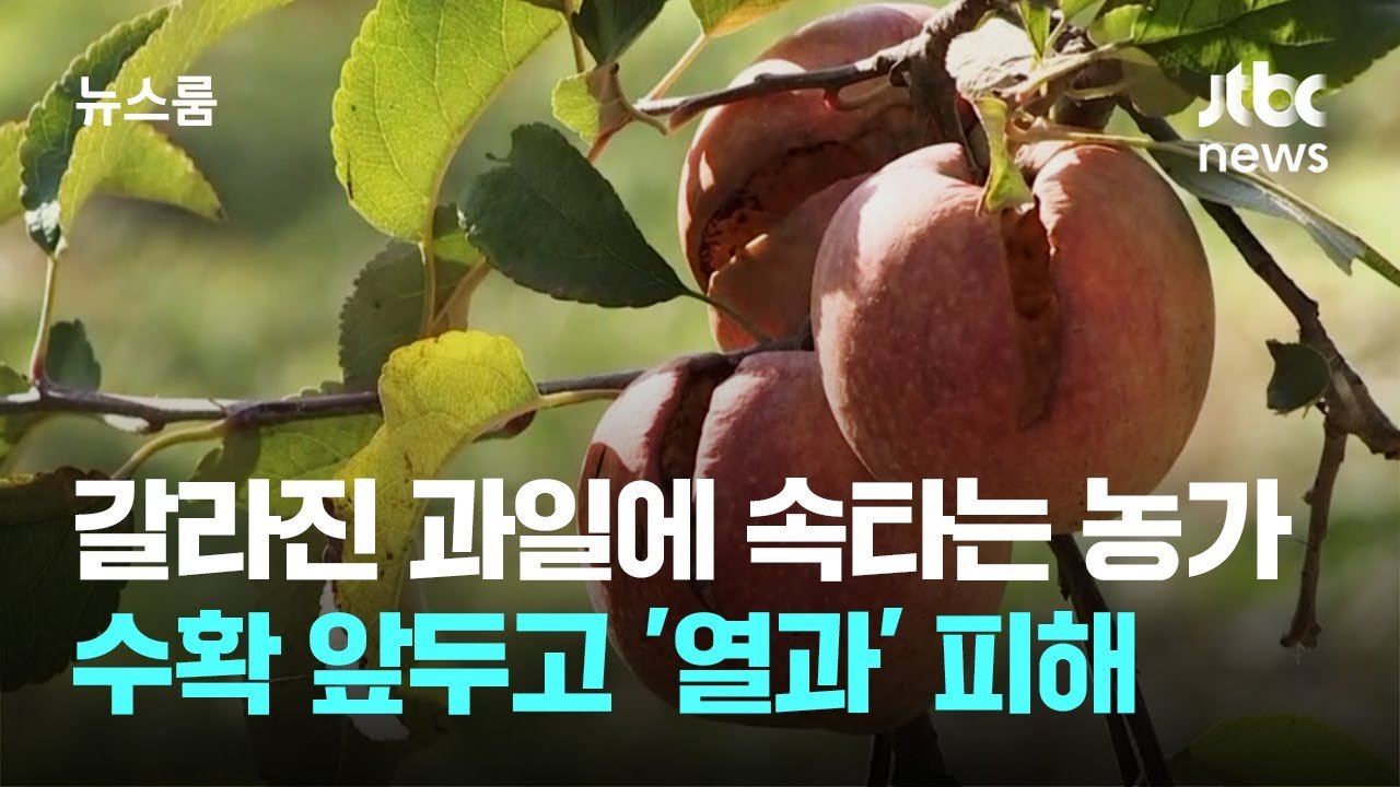 이상기후가 초래한 농업의 재앙