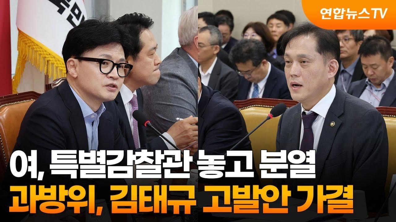 감정 충돌, 국회의 언행