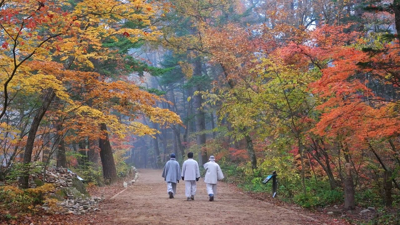 늦더위 속의 가을 산행