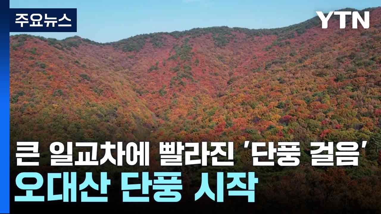 가을의 변화와 우리 마음의 상관관계