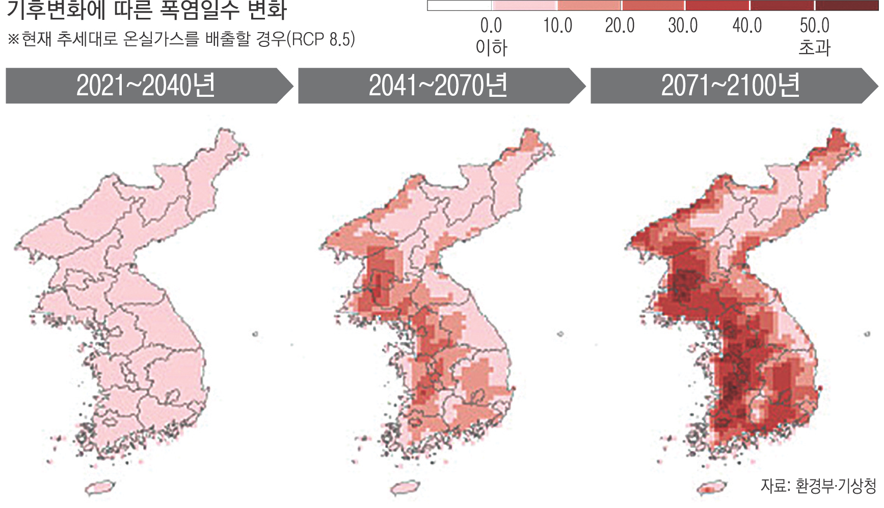 어디에서나 복잡한 꽃축제