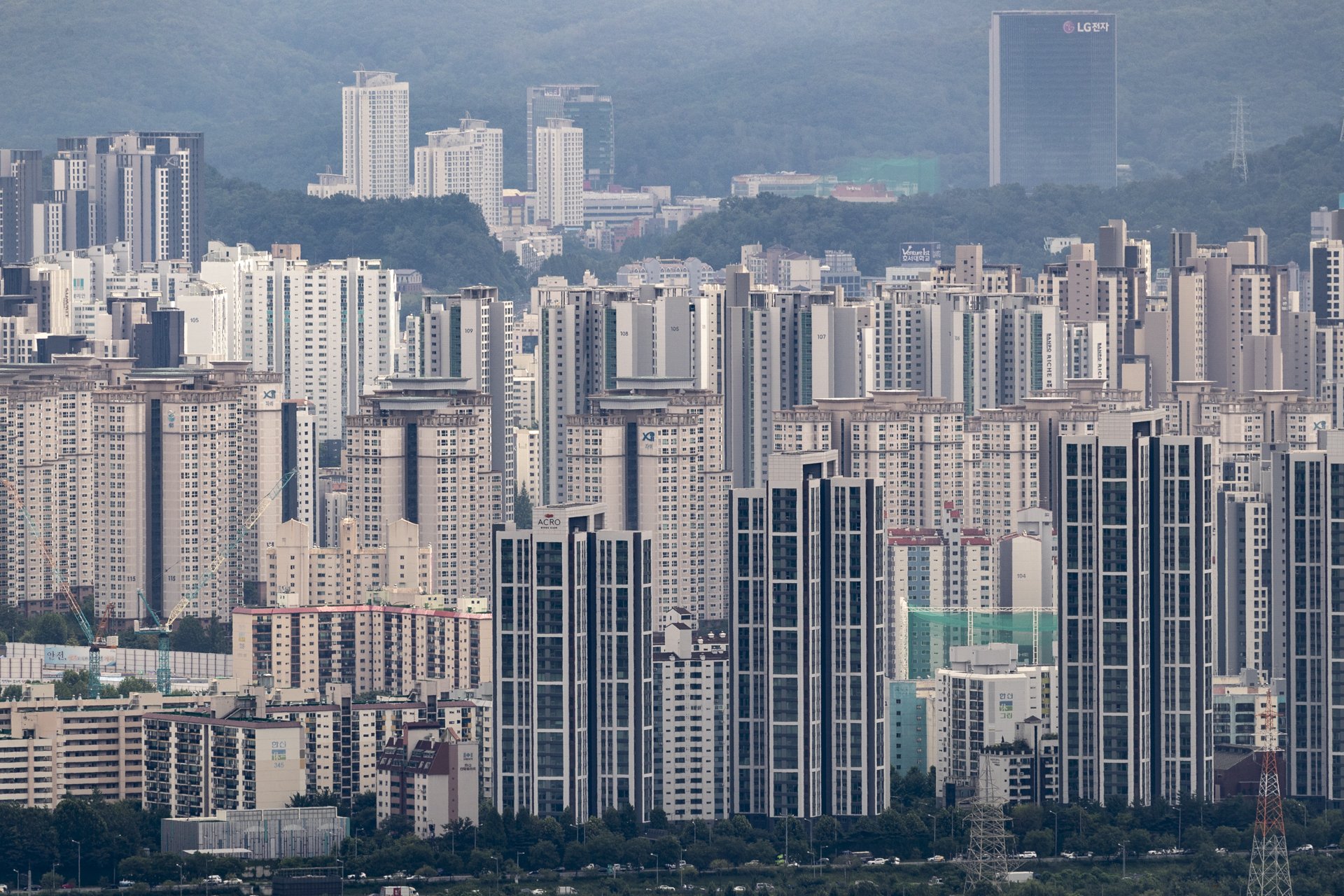 성남시 분당구의 매수자 현황