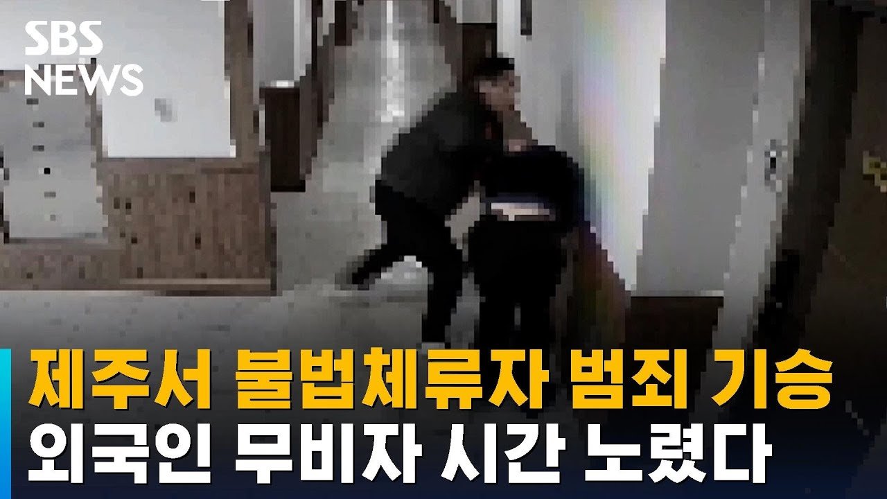 제주도의 불법체류 현황과 증가 추세