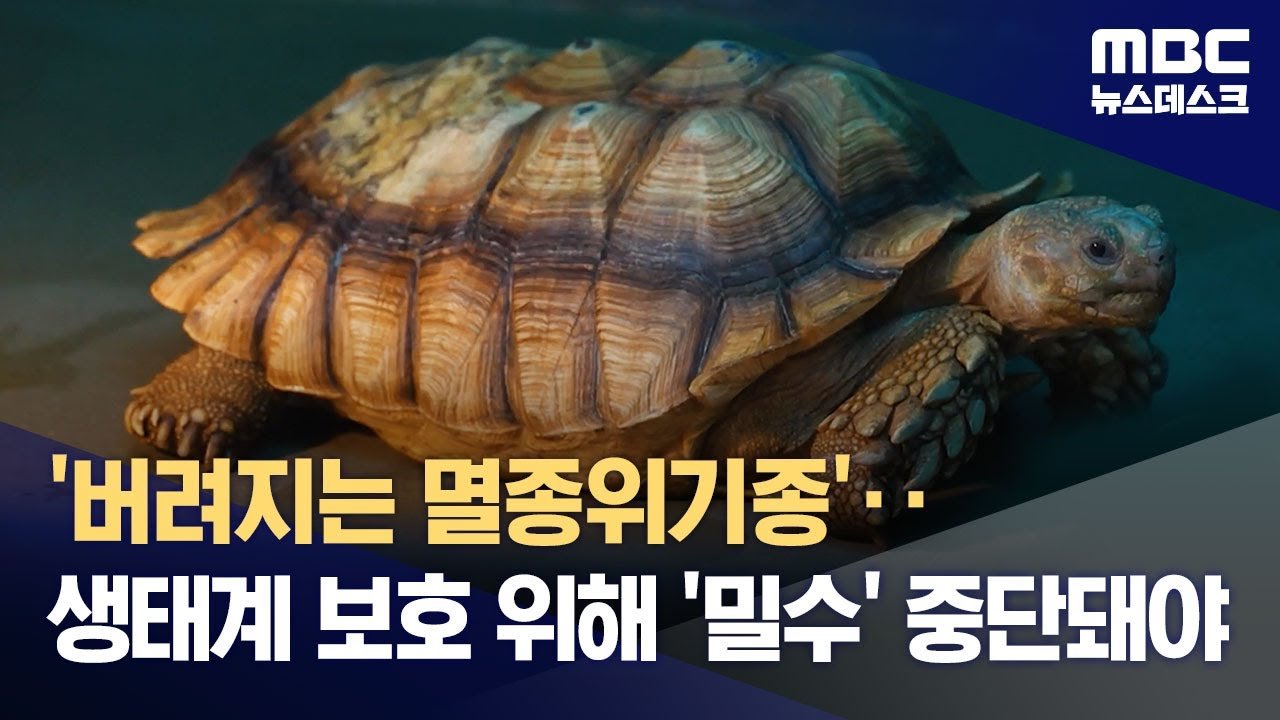 국립생태원의 역할과 시사점