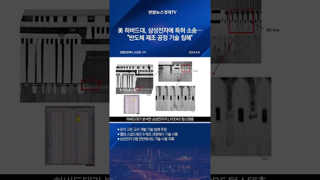 삼성전자의 방어 논리