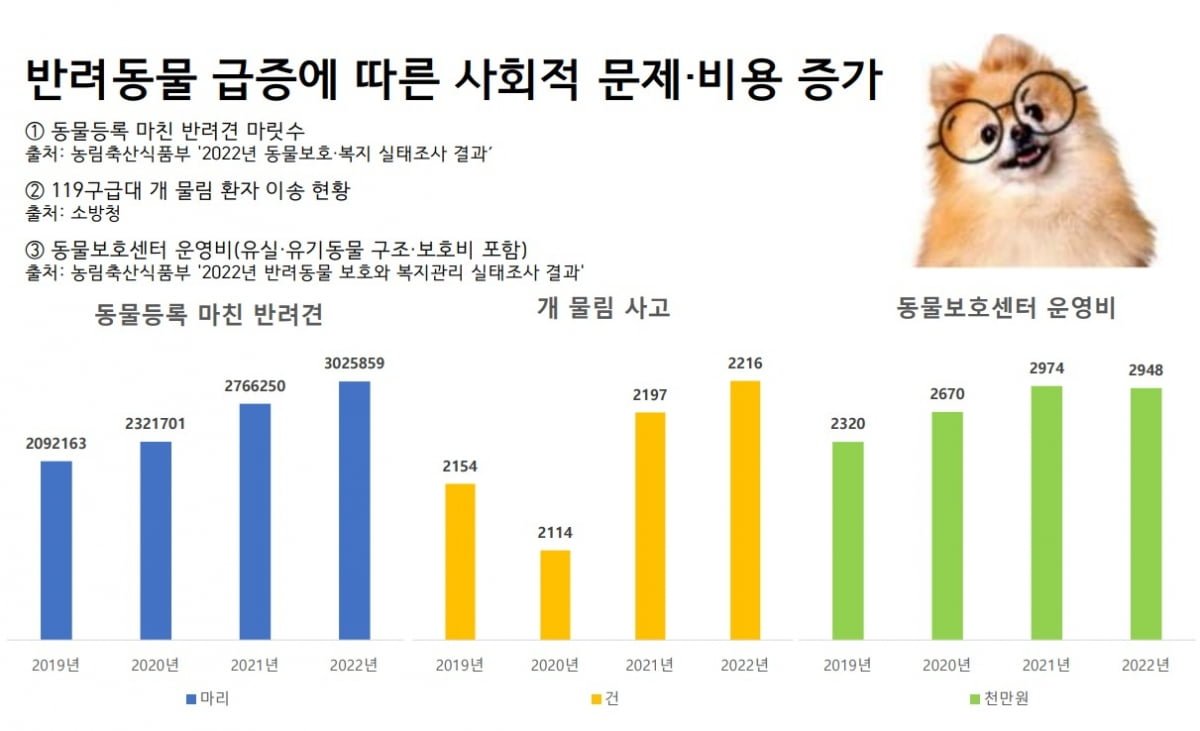 반려동물 인구의 급증과 변화