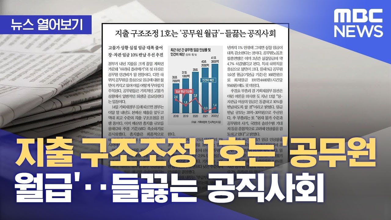 전문가들의 우려와 비판