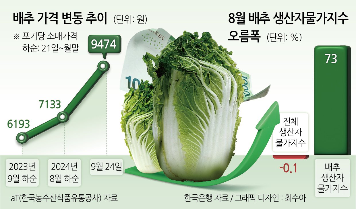 배추 가격, 급락의 조짐 보이기 시작