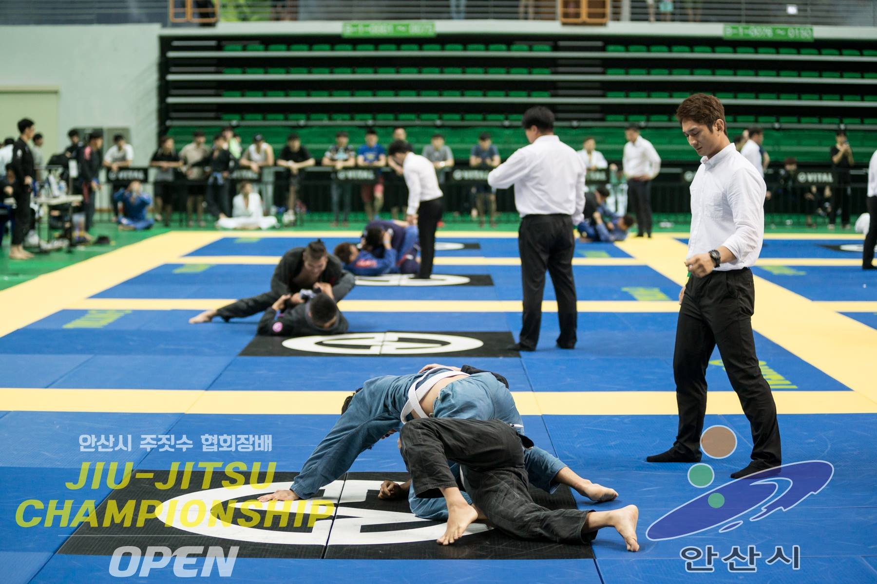 주짓수와 허경환의 인연