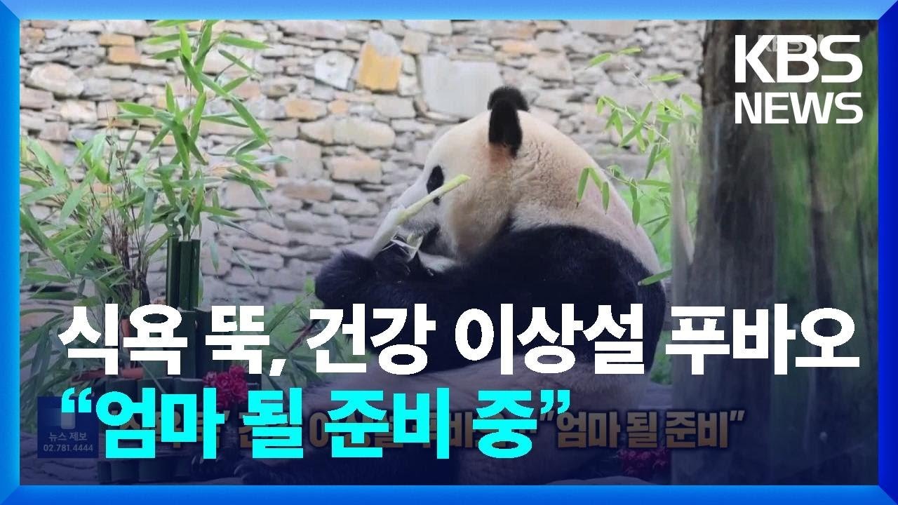 관람객의 걱정과 빠른 대처