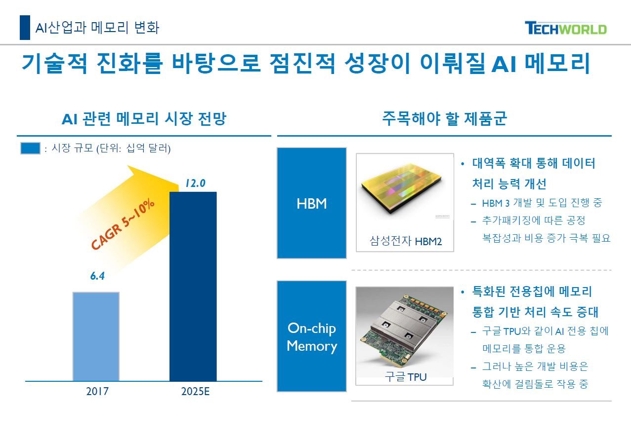 정부의 대응 노력과 기대